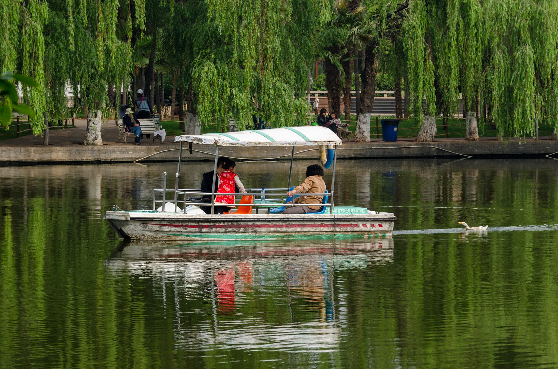 Best Things to Do in Kunming (2026 Guide)