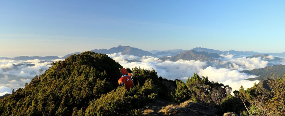 Alishan National Forest Recreation Area (2026): Sunrise, Ancient Cypress & the Forest Railway — Tickets & How to Visit