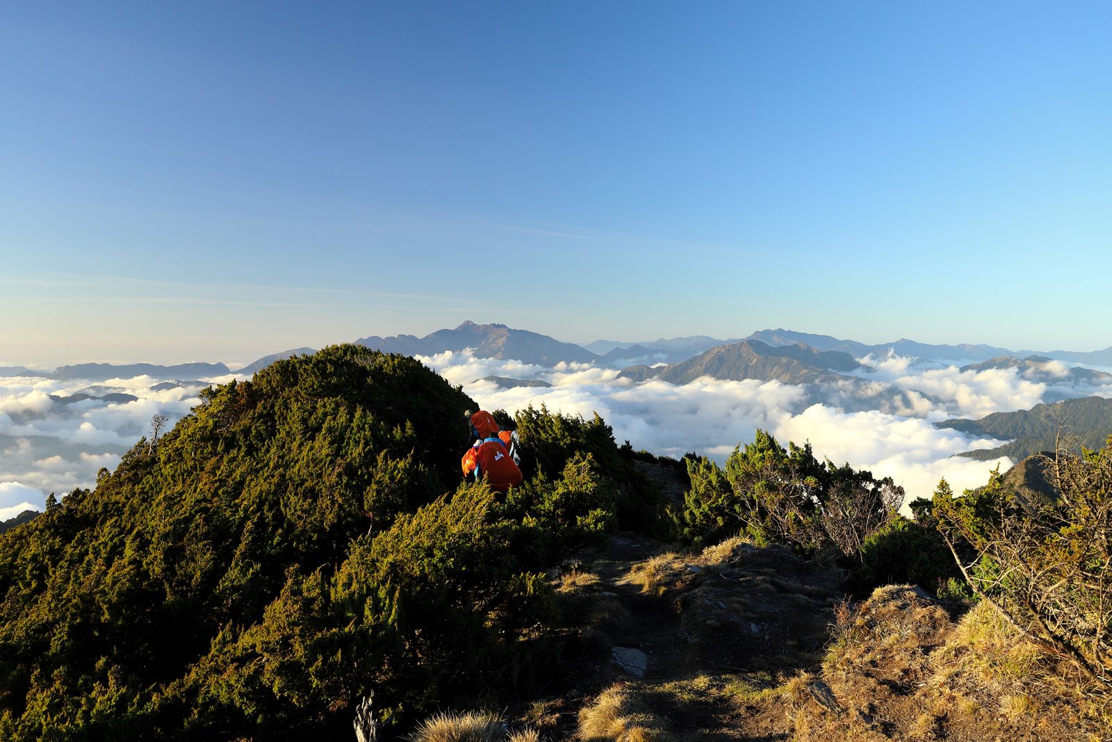 Alishan National Forest Recreation Area (2026): Sunrise, Ancient Cypress & the Forest Railway — Tickets & How to Visit