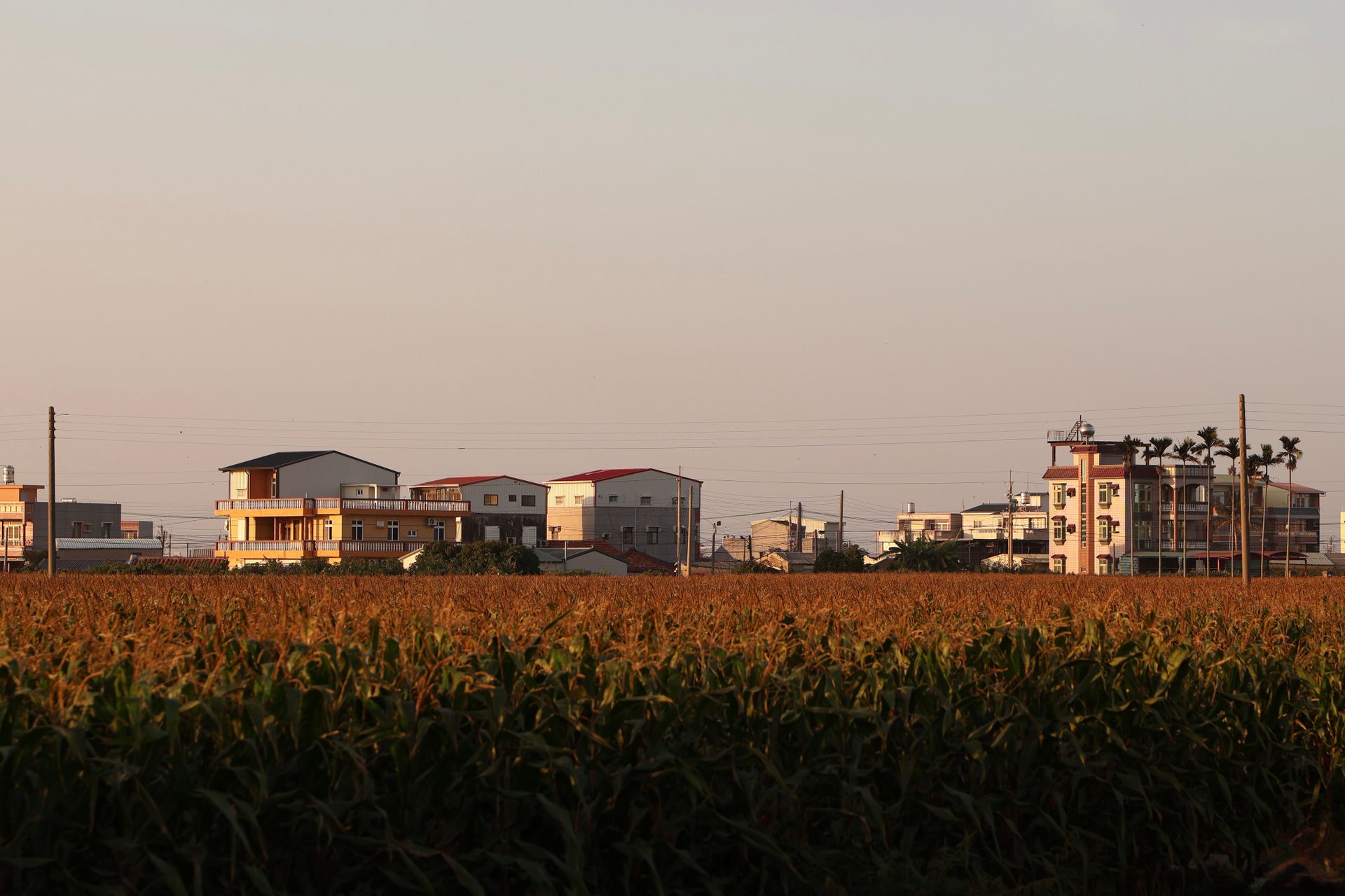 Best Things to Do in Chiayi (2026 Guide)