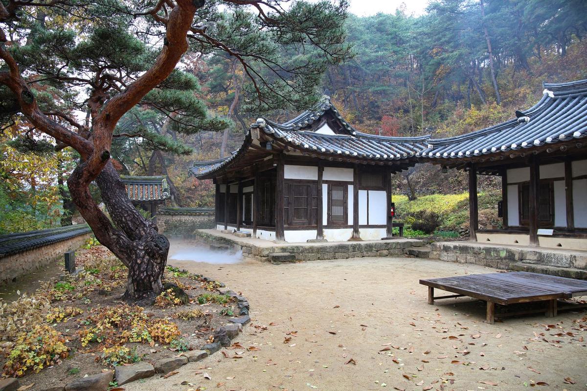 A traditional Korean Confucian academy building among pines