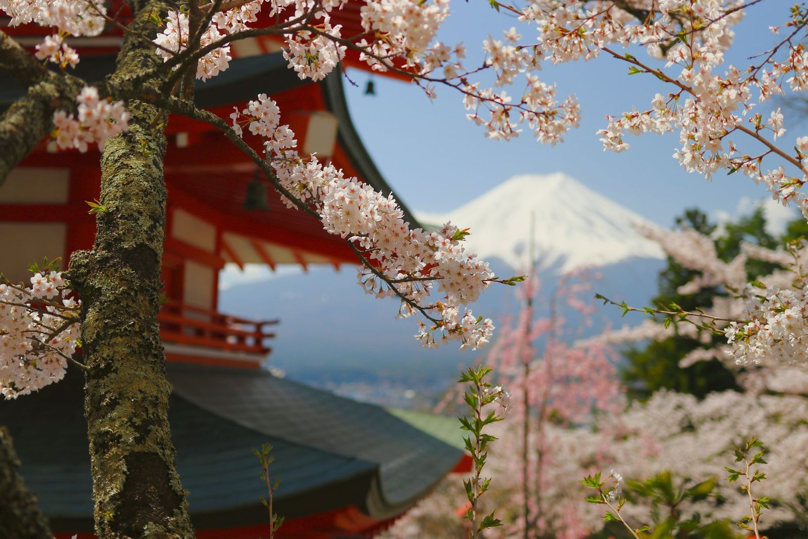 Japan Getting Around guides