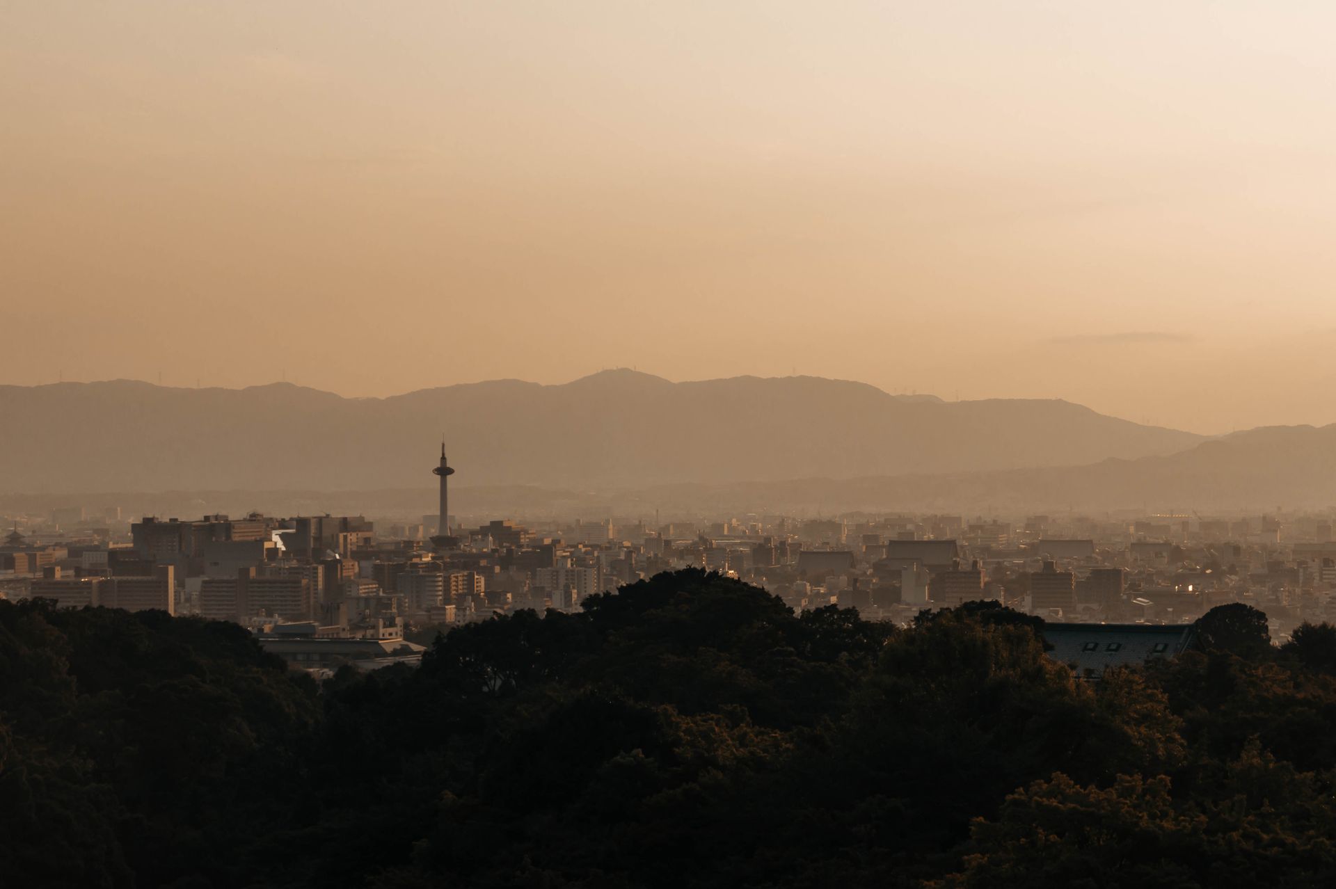 Best Things to Do in Kyoto (2026 Guide)