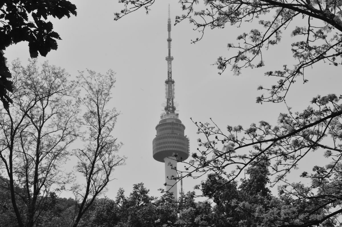 N Seoul Tower framed by trees on the summit of Namsan