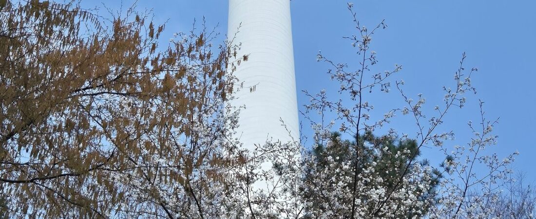 N Seoul Tower Travel Guide (2026): Tickets, Cable Car & What to See