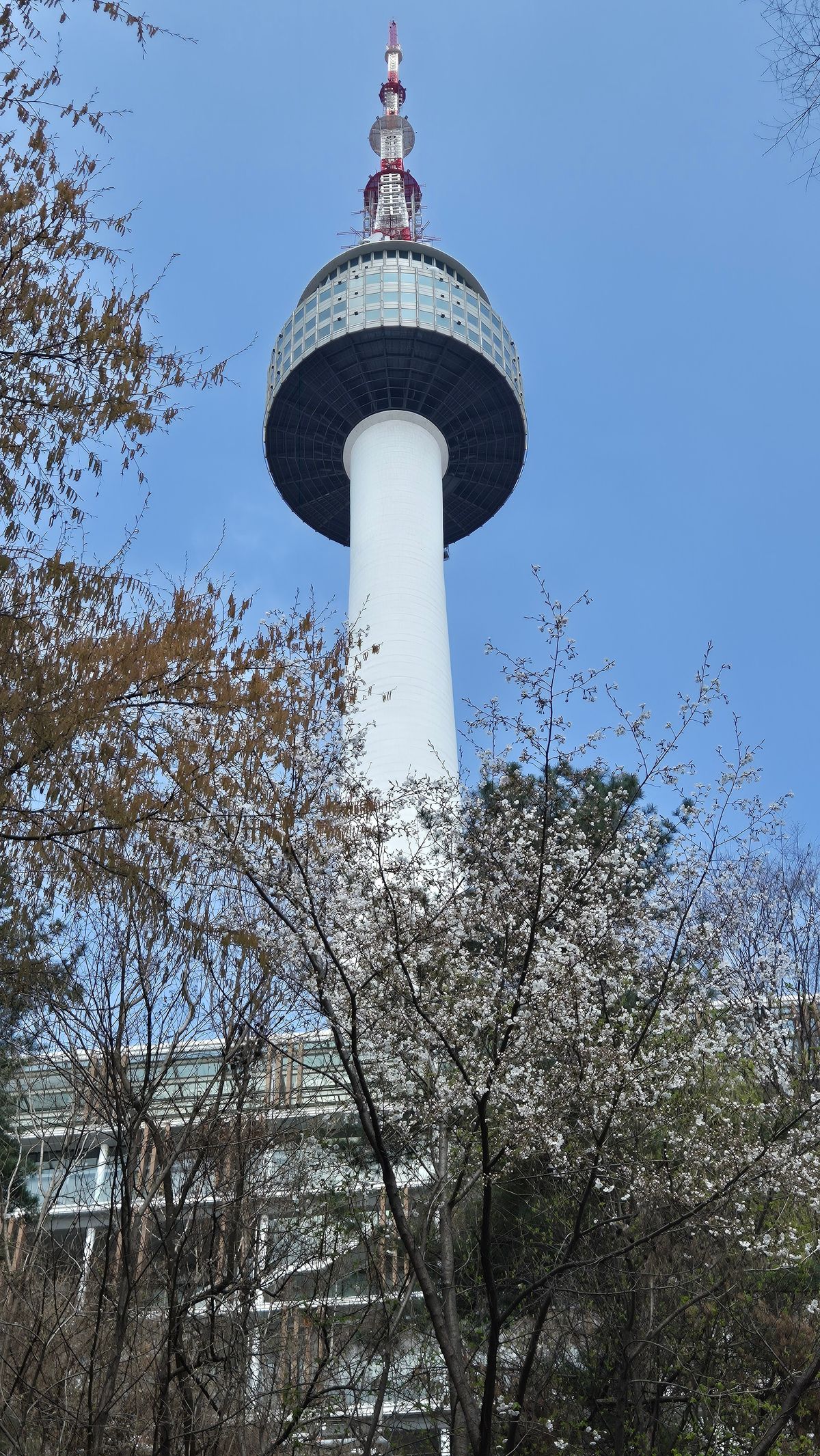 N Seoul Tower Travel Guide (2026): Tickets, Cable Car & What to See