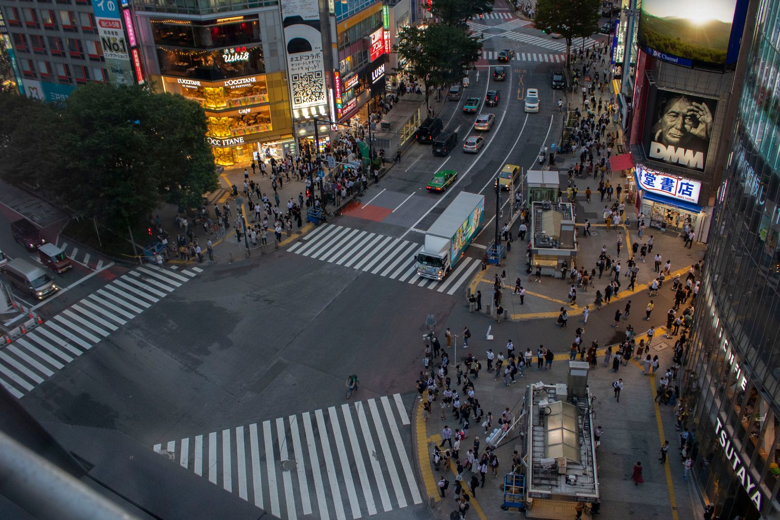 Shibuya Crossing (2026): Tokyo’s Iconic Scramble — Best Viewpoints, History & How to Visit