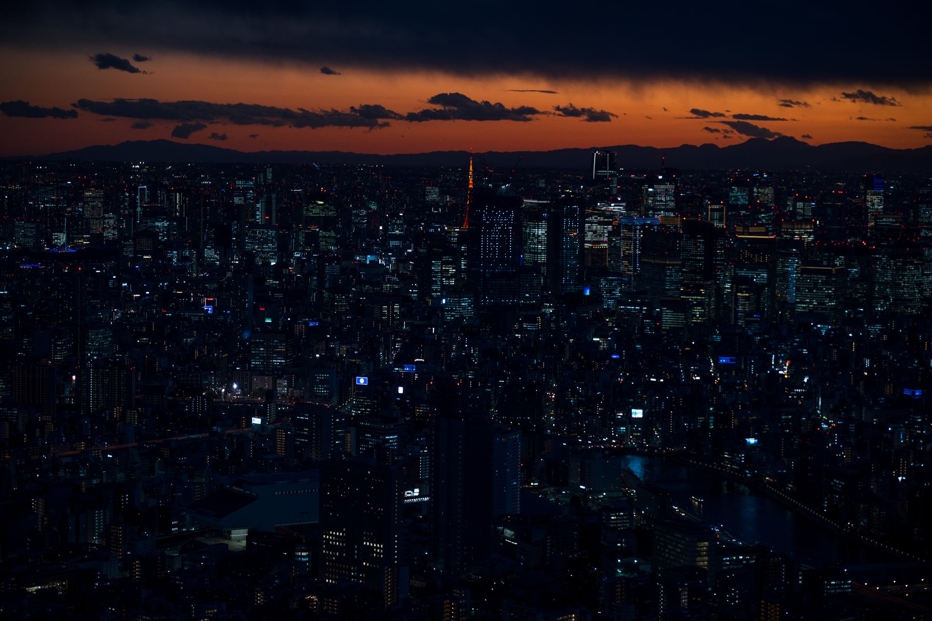 Best Things to Do in Tokyo (2026 Guide)