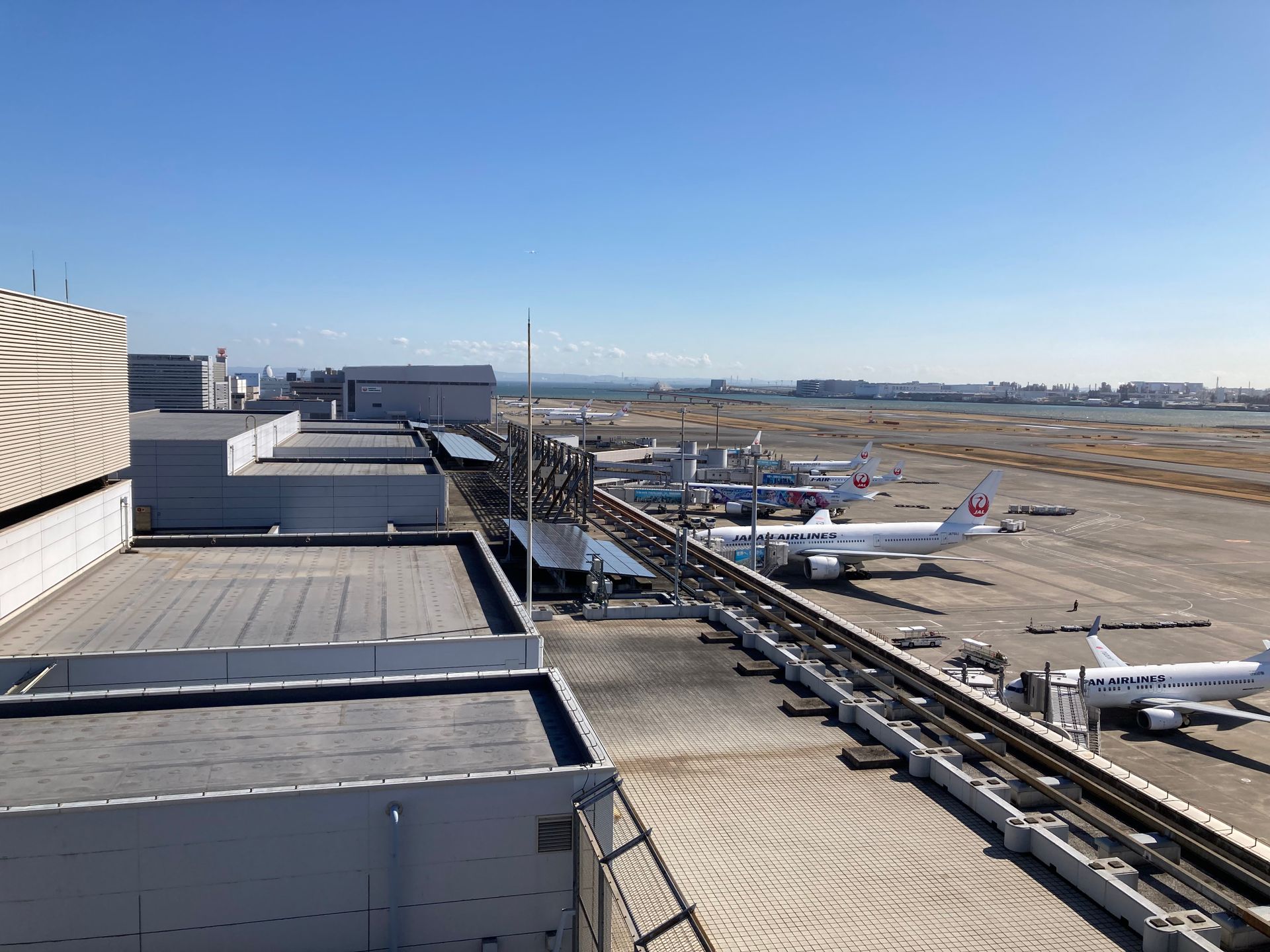 How to Get from Narita and Haneda Airport to Central Tokyo (2026)