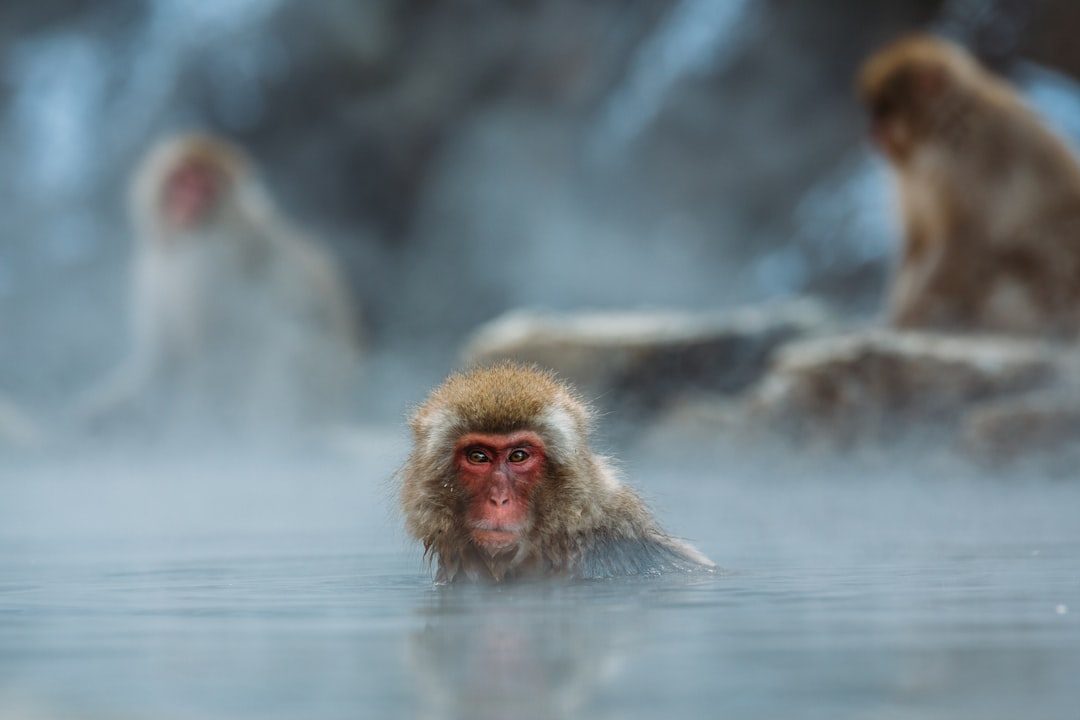 Jiaoxi’s gentle hot springs are Yilan’s signature soak